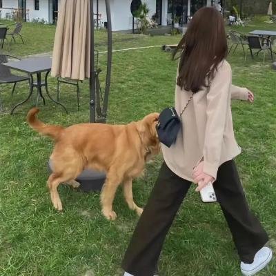 亡者之妻第二季